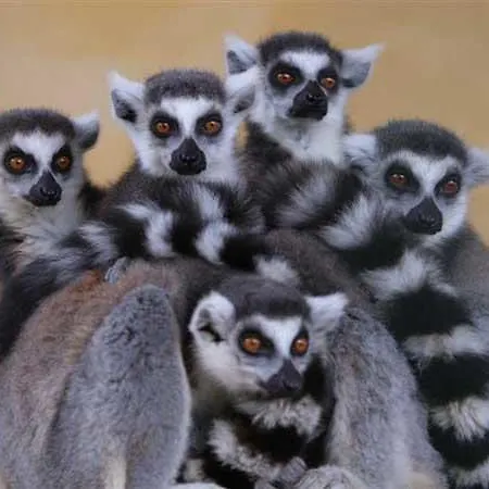 Eden Club Torre Canne